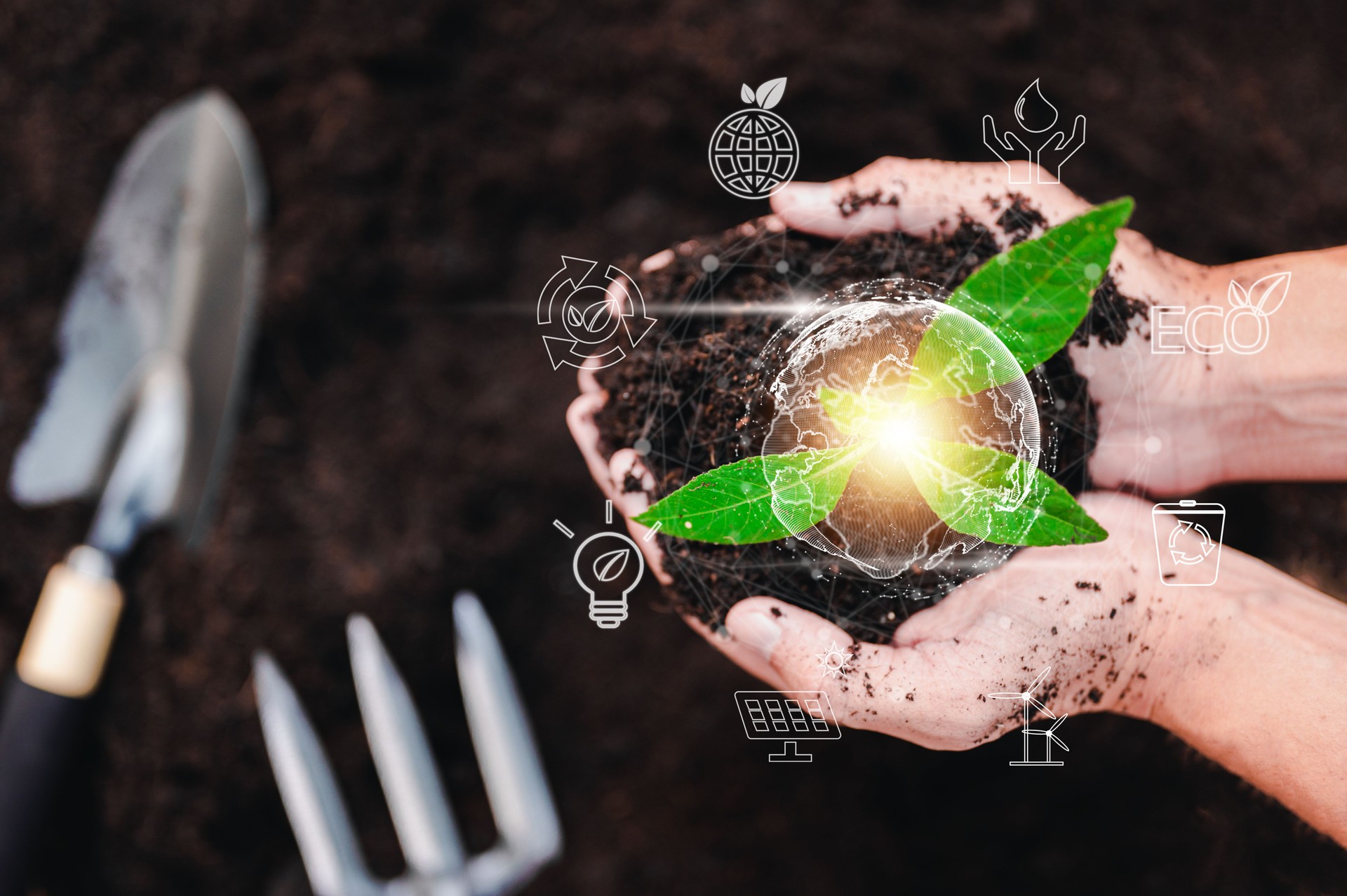 planta, natureza, folha, terra, crescer, proteção, eco, ambiental, global, ecossistema. ambiente hud