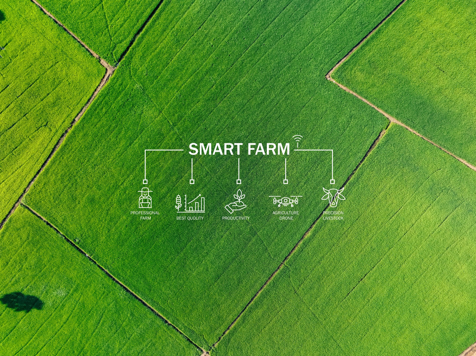 Smart farm technology meets agricultural expertise. Precision livestock management and agriculture drones enhance productivity. Modern farming practices. Innovation in sustainable agriculture.